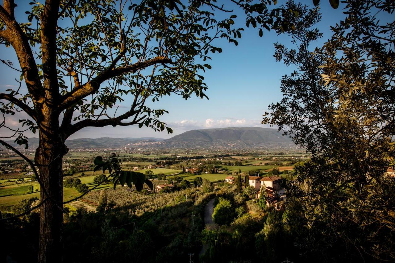 Il Poggio Degli Olivi Villa Bettona Kültér fotó