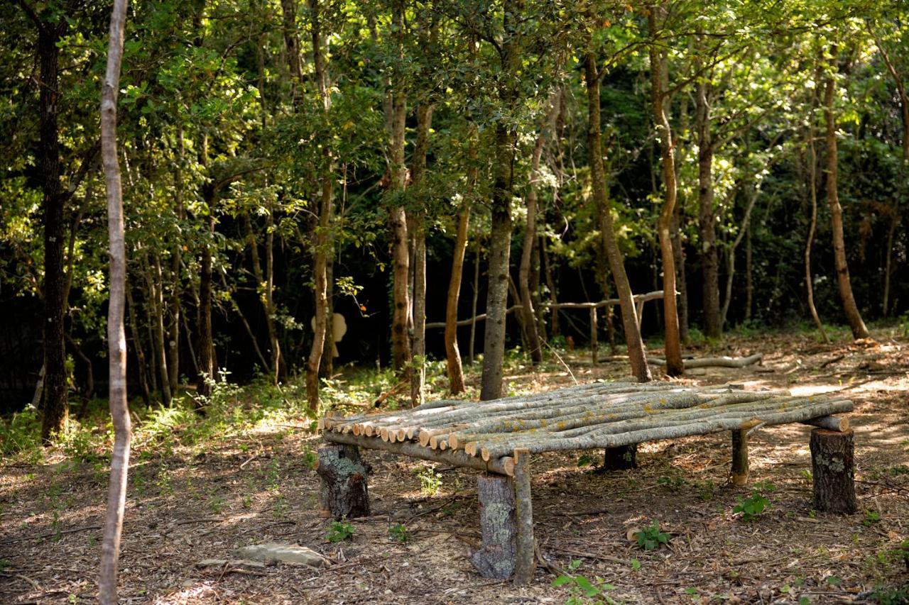 Il Poggio Degli Olivi Villa Bettona Kültér fotó